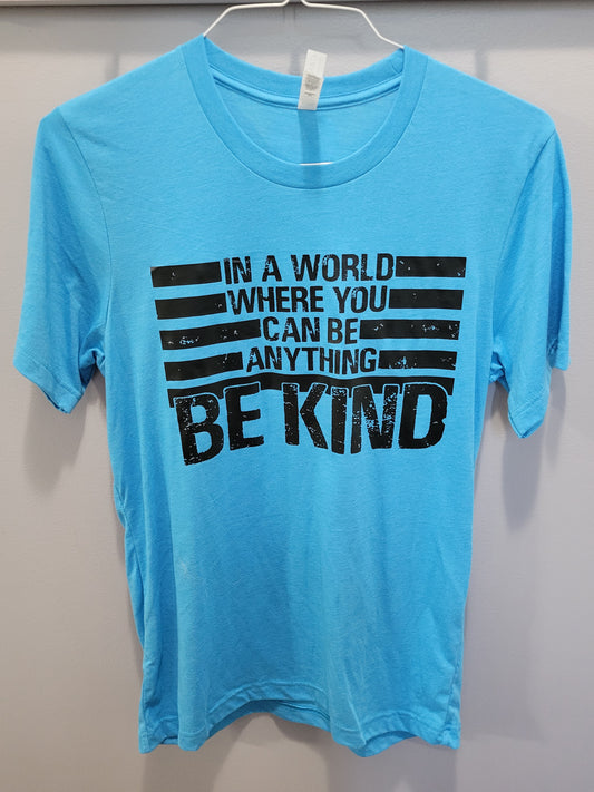 In A World Where You Can Be Anything Be Kind