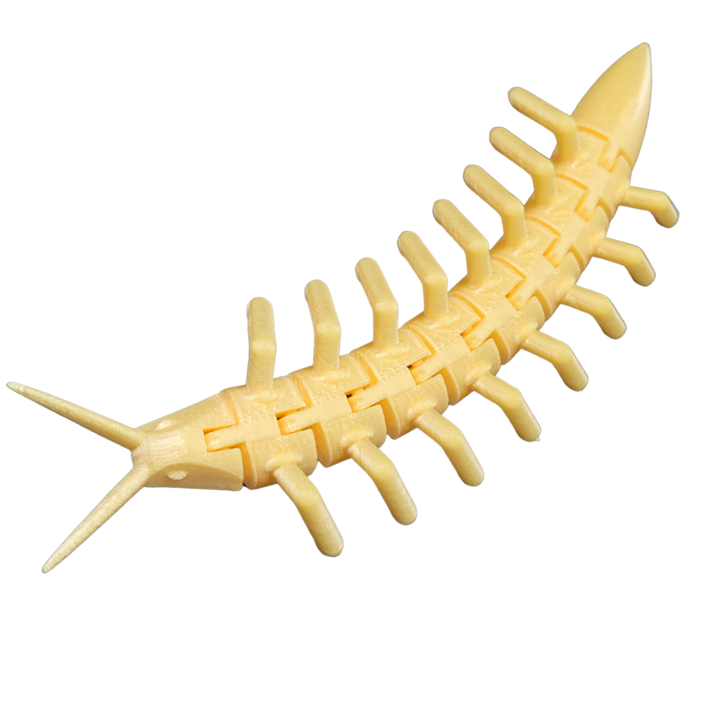 Centipede Fidget Toy