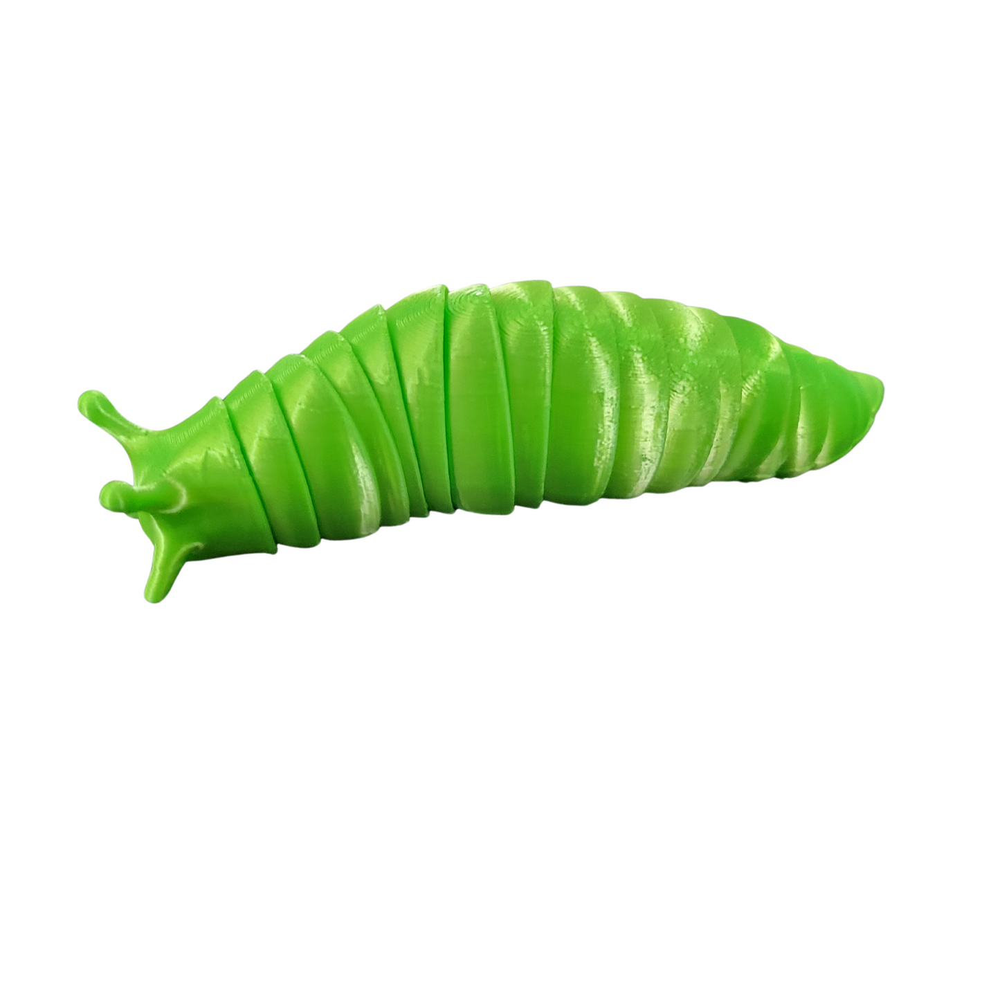 Slug Fidget Toy